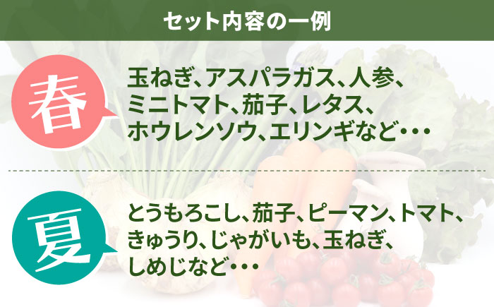 【6回定期便】お試し野菜セット 8品目 詰め合わせ / 野菜 やさい ヤサイ 旬 新鮮 / 南島原市 / 吉岡青果 [SCZ029]