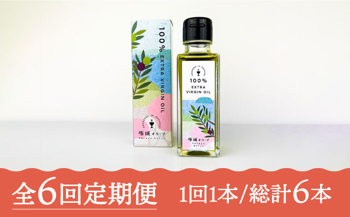 【2024年11月〜発送】【6回定期便】 原城 オリーブ エクストラ・ヴァージンオイル  100ml 1本 / オリーブオイル オイル 油 調味料 / 南島原市 / ミナサポ [SCW055]