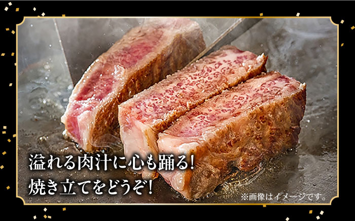 【内閣総理大臣賞受賞】長崎和牛 サーロインステーキ 約1kg / 冷凍 ステーキ肉 BBQ 焼肉 / 南島原市 / 島原雲仙農業協同組合 [SES002]