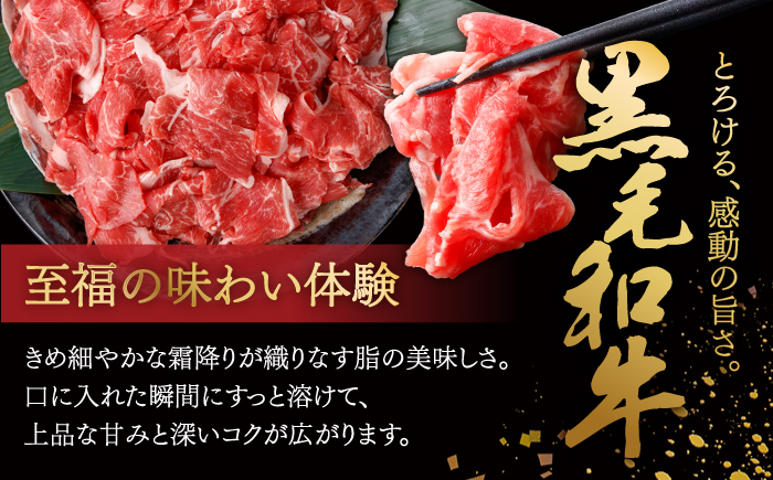 国産 黒毛和牛 熟成肉 切り落とし計1kg（500g×2パック）/ 小分け 国産牛 お肉 牛肉 切落し 冷凍 焼肉 すき焼き / 南島原市 / ふるさと企画 [SBA093]