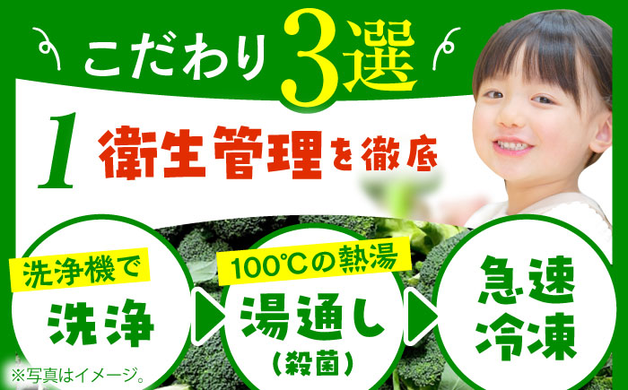 たっぷり 冷凍 ブロッコリー 1kg / ブロッコリー ぶろっこりー 野菜 やさい 小分け 冷凍 / 南島原市 / 池田海陸物産 [SEW006]