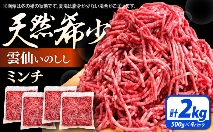 猪肉 ミンチ 2kg 雲仙いのしし / ひき肉 肉 イノシシ ジビエ いのしし ハンバーグ / 南島原市 / もりのめぐみ [SDB013]