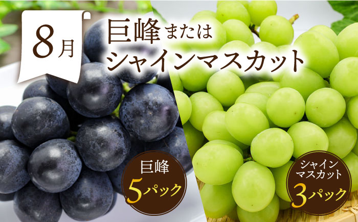 フルーツ定期便【6回定期便 偶数月コース】旬のフルーツをセット / ハウスびわ メロン ぶどう 巨峰 みかん など / 定期便 旬 フルーツ 果物 春フルーツ 夏フルーツ 秋フルーツ 冬フルーツ 果物定期便 フルーツ定期便 果物定期 フルーツ定期 人気 人気果物 人気フルーツ / 南島原市 / 贅沢宝庫 [SDZ022]