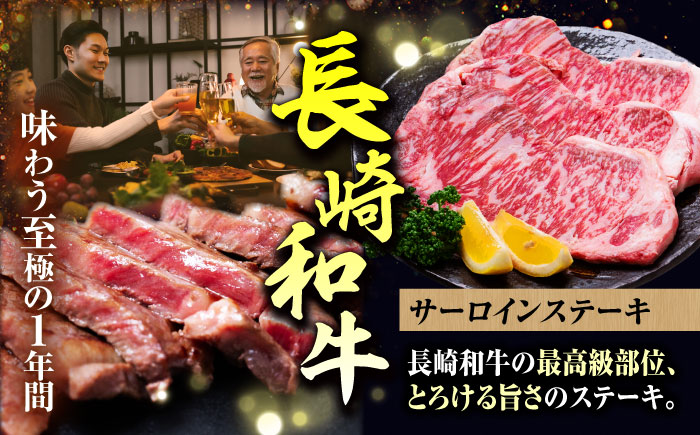 【12回定期便】希少部位 長崎和牛 定期便 プレミアムコース 計10kg お楽しみ 牛肉 バラエティ定期便 国産 / サーロイン もも カルビ ロース 焼き肉 すき焼き リブロースステーキ しゃぶしゃぶ 牛ミンチ ヒレ リブロース トモサンカク / 南島原市 / 水田精肉店 [SDZ044]