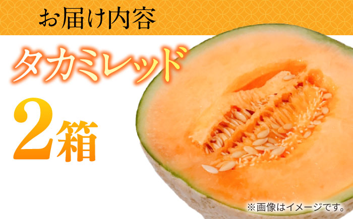【2026年5月〜発送】タカミメロン レッド 2箱（1箱 3〜6玉） / メロン めろん フルーツ 果物 / 南島原市 / 南島原果物屋 [SCV032]