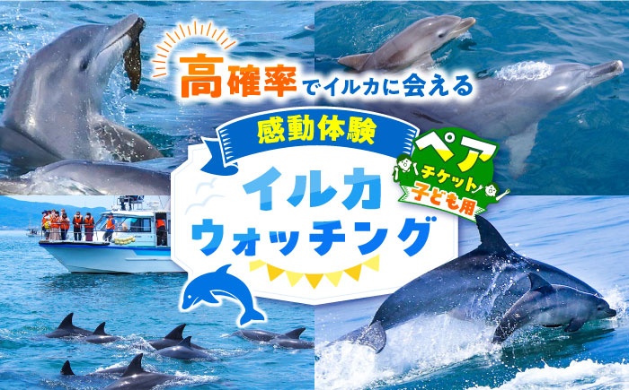 南島原 イルカウォッチング  子ども用 ペアチケット / イルカ 観光 南島原市 / 南島原イルカウォッチング [SAE004]