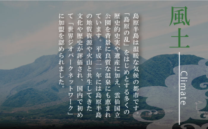 【コシの強さ・のど越しは逸品！】 こだわりの麺匠が創る 島原 手延 素麺 9kg (50g×180束)  / そうめん 島原そうめん 手延べ 麺 素麺 / 南島原市 / ふるさと企画 [SBA029]