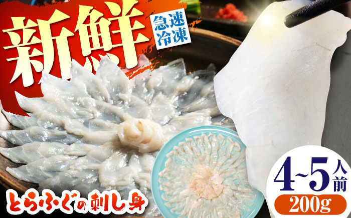 【新鮮！贅沢おつまみ】とらふぐ 刺身 トラフグのてっさ（大皿/200g）×1枚/ とらふぐ 刺身 紅葉おろし トラフグ ふぐ フグ 河豚 刺し身 ふぐ刺し / 南島原市 / 株式会社 FUKUNOTANE [SFJ037]