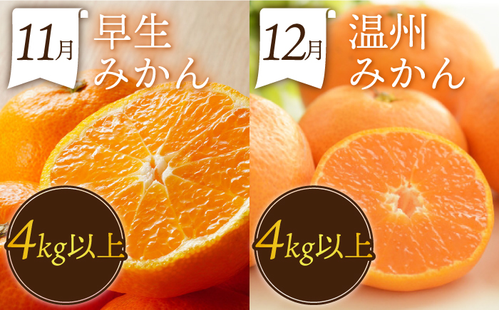 【3回定期便】フルーツ定期便 果物屋が選ぶ旬のフルーツ いちご メロン びわ みかん 梨 柿 など / 果物定期便 フルーツ 定期便 果物 春フルーツ 夏フルーツ 秋フルーツ 冬フルーツ / 南島原市 / 贅沢宝庫 [SDZ024]