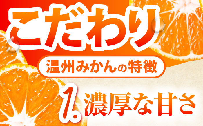 【2026年10月下旬～発送】温州みかん 10kg / みかん ミカン 蜜柑 フルーツ 果物 / 南島原市 / 蜜柑屋まつお [SCQ002]