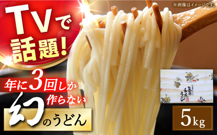 【年に3回しか作らない】幻の うどん 5kg  / 南島原市 / 宮崎製麺所 [SDN007]