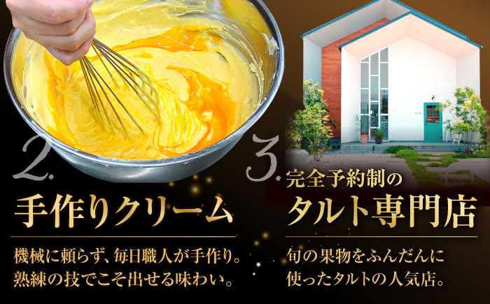 【偶数月 5回定期便】季節の タルト 定期便 / ティラミス お菓子 ケーキ チョコレート マンゴー レモン タルト フルーツ 旬 スイーツ 南島原市 / アトリエジジ [SAA034]