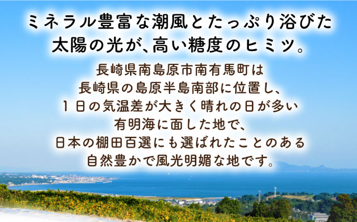 【2025年1月〜発送】【旬の 食べ比べ】柑橘（みかん）セット 約 6kg（3kg×2箱） / みかん 南島原市 / 長崎県農産品流通合同会社 [SCB041]