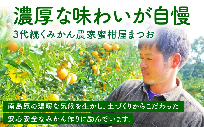 【2026年1月〜発送】青島 温州みかん 10kg / みかん ミカン 蜜柑 甘い フルーツ 果物 / 南島原市 / 蜜柑屋まつお [SCQ003]