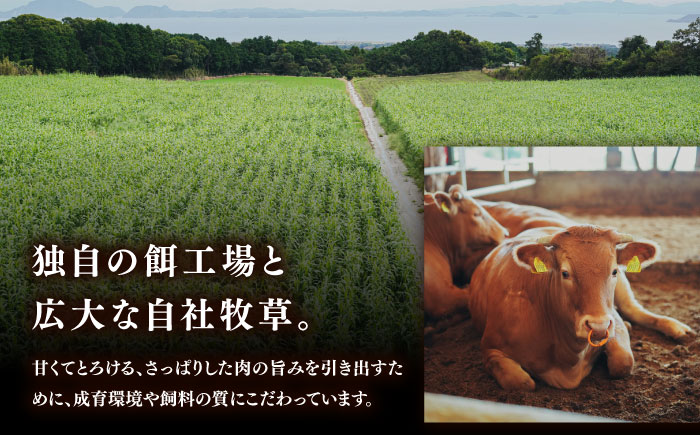 【希少】雲仙 あか牛 ローストビーフ 250g / 国産 長崎和牛 牛 牛肉 赤身 加工品 冷凍 / 南島原市 / 株式会社高田牧場 [SGQ001]