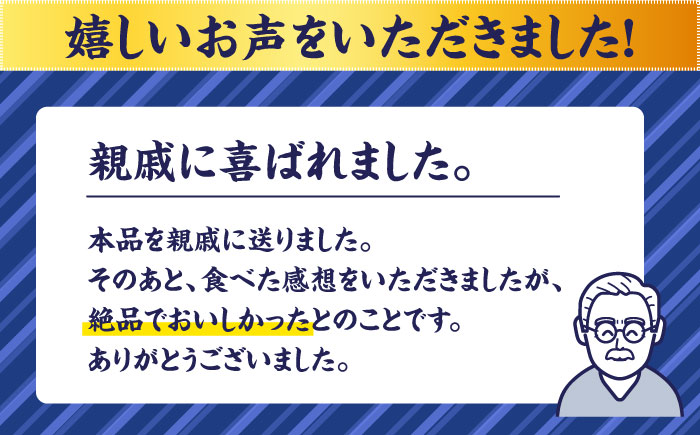 【創業明治14年の老舗】大容量！蒲鉾 いろどり 5本セット / かまぼこ 蒲鉾 カマボコ 練り物 詰め合わせ / 南島原市 / 内田蒲鉾店 [SAH014]
