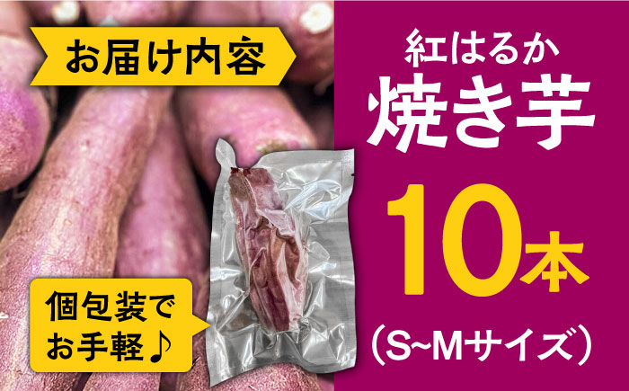 【2025年1月下旬〜発送】【数量限定】【ねっとり甘い熟成サツマイモ】冷凍焼き芋（紅はるか） 10本(S〜M) / さつまいも やき芋 冷凍 小分け 個包装 / 南島原市 / 池田海陸物産 [SEW002]