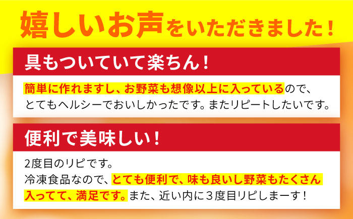 【6回定期便】冷凍 長崎ちゃんぽん 皿うどん セット 4食 （ちゃんぽん1食×2、皿うどん1食×2）/ ちゃんぽん チャンポン さらうどん 皿ウドン 長崎 スープ付き 麺 具入り / 南島原市 / 狩野食品 [SDE012]