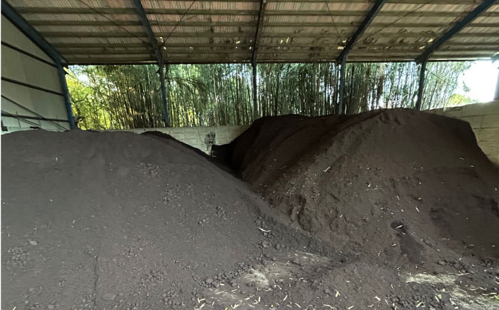 【2026年6月～発送】【最高糖度20度以上！】とうもろこし 2Lサイズ 10本 / ゴールドラッシュネオ トウモロコシ コーン スイートコーン / 南島原市 / 三和サービス株式会社 [SGB008]