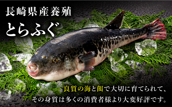 2024年12月31日大晦日にお届け 長崎県産とらふぐ刺身 5〜6人前 アラ付き  / ふぐ フグ 河豚 トラフグ ふぐ刺し てっさ 冷蔵 着日指定 年内配送 / 南島原市 / 大和庵[SCJ027]