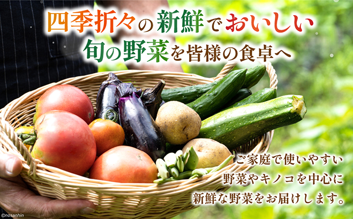 【6回定期便】2ヵ月に1回 新鮮 「旬の野菜・フルーツ」 詰め合わせ セット（10品〜12品）/ 野菜 定期便 やさい 定期便 野菜セット やさいセット 春野菜 夏野菜 秋野菜 冬野菜 旬新鮮 / 南島原市 /長崎県農産品流通合同会社 [SCB096]