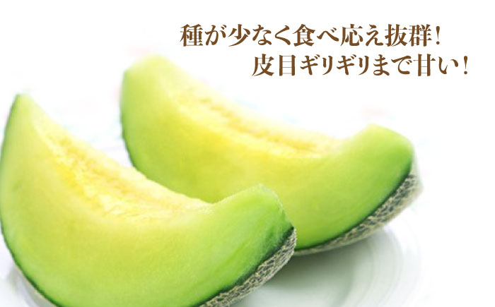 【2026年6月中旬～発送】肥後 グリーンメロン 大玉 2玉 (合計4kg以上) / メロン めろん フルーツ 果物 / 南島原市 / 長崎県農産品流通合同会社 [SCB063]