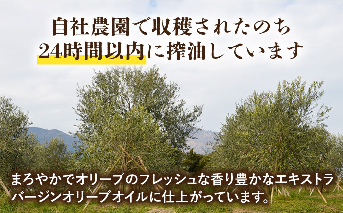 （3回定期便）【国産 手摘み 100% 】南島原産 オリーブオイル  S島原  / オリーブ オイル 油 あぶら 食用油 / 南島原市 / ふるさと企画 [SBA064]