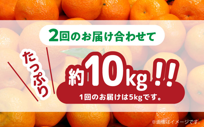 【2024年12月〜発送】【訳あり 2回 定期便 】 温州みかん 約5kg（傷もの） / みかん 訳アリ 定期便 ミカン 蜜柑 長崎県産みかん 糖度 果物 くだもの 果物定期便 フルーツ ふるーつ フルーツ定期便 旬 家庭用 5kg / 南島原市 / 南島原果物屋 [SCV018]