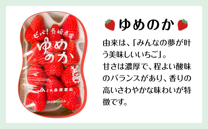 【2025年1月〜発送】いちご 2種類 食べ比べ 約250g×4P / ゆめのか こいみのり / イチゴ 苺 果物 フルーツ / 南島原市 / JA島原雲仙東南部基幹センター [SAC006]