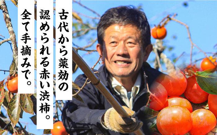 【業界誌（料理通信）お宝食材コンテスト ベスト20選出】天然 酵母 柿酢200ml 3本 / 南島原市 / 中邨 [SAG005]