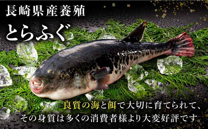 【2024年9月〜発送】長崎県産 とらふぐ 刺身 と 鍋 セット 2〜3人前  / ふぐ ふぐ刺し 南島原市 / 大和庵 [SCJ007]