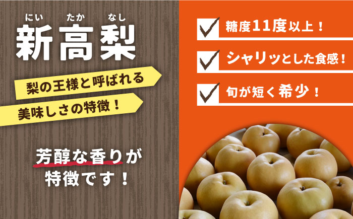 【2025年9月〜発送】シャリッと食感がたまらない！新高梨 5kg (玉数おまかせ) / 梨 なし くだもの 果物 フルーツ 常温 ギフト プレゼント 贈り物 / 南島原市 / ふるさと企画 [SBA012]