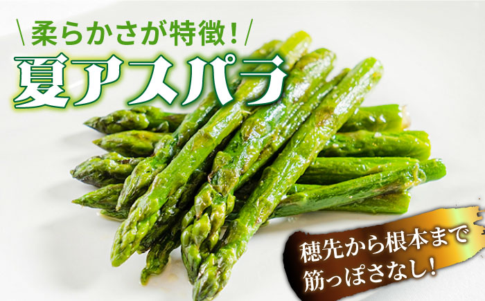【2026年5月下旬～発送】【数量限定】【星のアスパラ】厳選 グリーン アスパラガス 約2kg / アスパラ アスパラガス 野菜 / 南島原市 / ほしのYA [SEY002]