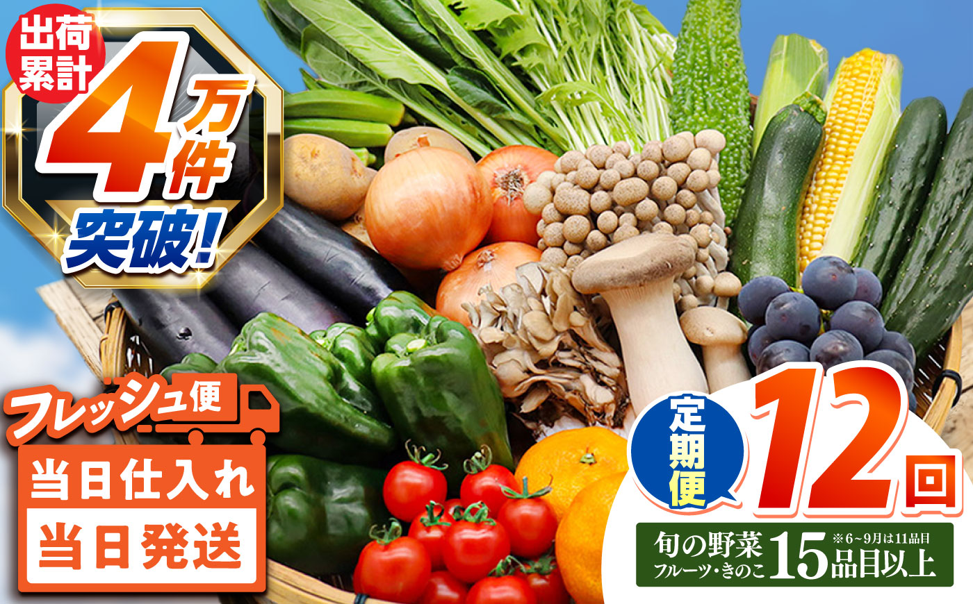 【12回定期便】豪華！野菜 セット 15品目以上 / 野菜 定期便 やさい 定期便 野菜セット やさいセット 春野菜 夏野菜 秋野菜 冬野菜 旬 / 南島原市 / 吉岡青果 [SCZ019]