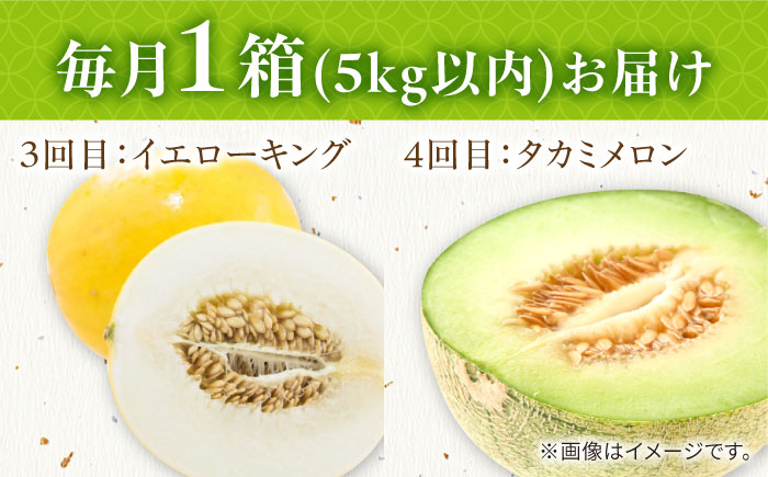 【2026年4月下旬〜発送】【4回定期便】メロン 4種 食べ比べ / プリンスメロン イエローキング タカミレッド タカミメロン / メロン めろん フルーツ 果物 / 南島原市 / 南島原果物屋 [SCV045]