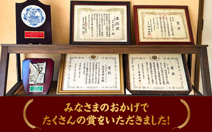 【創業明治14年の老舗】大容量！いわし 半月天 ・ まくら 詰め合わせ / かまぼこ 蒲鉾 カマボコ 練り物 詰め合わせ / 南島原市 / 内田蒲鉾店 [SAH011]