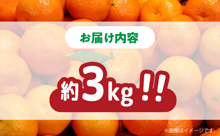 【高糖度】訳あり 温州みかん 約3kg（傷もの）/ みかん ミカン 蜜柑 果物 フルーツ / 南島原市 / 南島原果物屋 [SCV022]