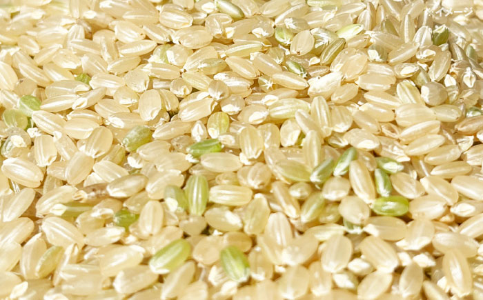 【数量限定】ひのひかり 玄米 30kg 1袋 / 米 こめ コメ げんまい / 南島原市 / ながさき南部生産組合 [SBW027]