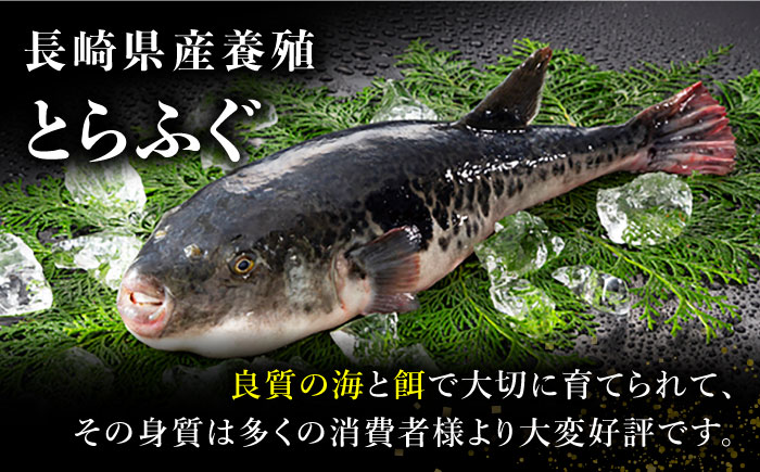 長崎県産 とらふぐ刺身 2〜3人前（アラなし） / ふぐ フグ 河豚 トラフグ ふぐ刺し / 南島原市 / 大和庵 [SCJ021]