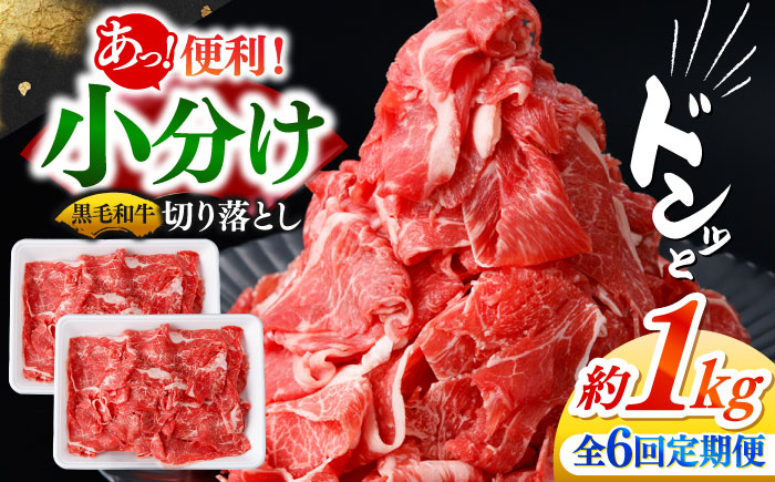 【6回定期便】国産 黒毛和牛 熟成肉 切り落とし計1kg（500g×2パック）/ 小分け 国産牛 お肉 牛肉 切落し 冷凍 焼肉 すき焼き / 南島原市 / ふるさと企画 [SBA096]