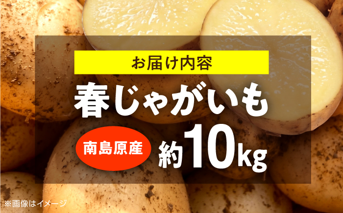 じゃがいも 約10kg 馬鈴薯 春じゃが / ジャガイモ ばれいしょ 野菜 やさい 芋 / 南島原市 / 株式会社松尾青果 [SGU002]