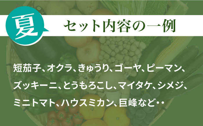 【12回定期便】豪華！野菜 セット 15品目以上 毎月コース 野菜定期便 / 野菜 定期便 やさい 定期便 野菜セット やさいセット 春野菜 夏野菜 秋野菜 冬野菜 旬 / 南島原市 / 吉岡青果 [SCZ019]