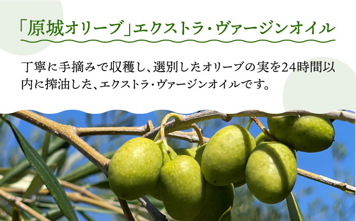 【2024年11月〜発送】原城オリーブ エクストラヴァージン オイル 100ml 3本 / 調味料 油 オリーブオイル オリーブ / 南島原市 / ミナサポ [SCW027]