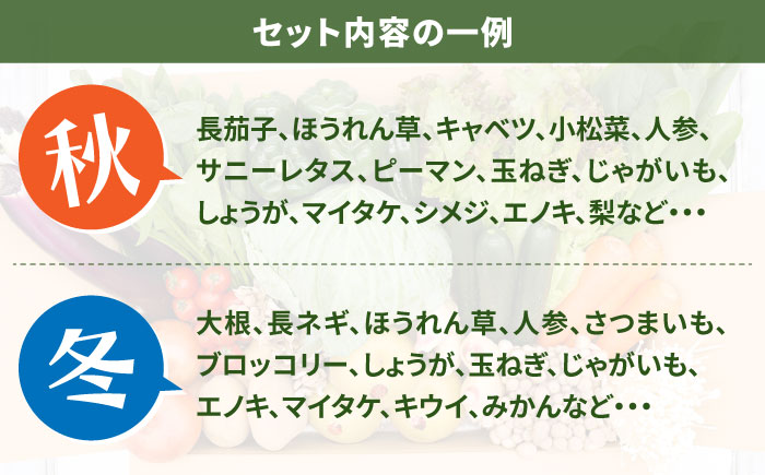 【毎月24回コース】豪華！野菜 セット 15品目以上 24回 定期便  / 野菜 フルーツ きのこ 詰め合わせ 南島原市 / 吉岡青果 [SCZ003]