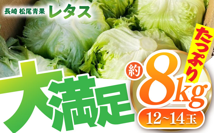 【2026年12月～発送】レタス 約8kg（12～14玉）/ れたす 野菜 やさい / 南島原市 / 株式会社松尾青果 [SGU005]