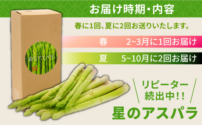 【3回定期便】【星のアスパラ】春・夏 の グリーン アスパラガス 約1kg / アスパラ 野菜 / 南島原市 / ほしのYA [SEY016]