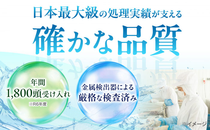 猪肉 スライス 1kg 雲仙いのしし / 肉 イノシシ ジビエ いのしし 焼肉 ぼたん鍋 切り落とし / 南島原市 / もりのめぐみ [SDB011]