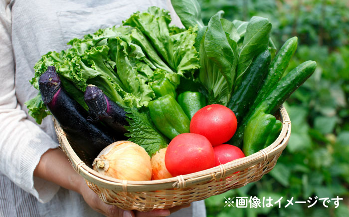 野菜のプロが選ぶ 旬の野菜セット 12～13品目 野菜定期便 / 野菜 やさい セット 新鮮 / 南島原市 / 愛2農園 [SGG005]