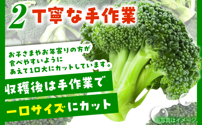ブロッコリー たっぷり 冷凍 ブロッコリー 4kg（1kg × 4袋） / ブロッコリー ぶろっこりー 野菜 やさい 小分け 冷凍 国産  / 南島原市 / 池田海陸物産 [SEW008]