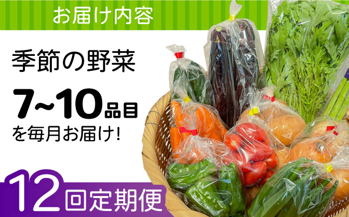 【12回定期便】直売所より発送！季節の野菜セット 7〜10品目 / 野菜定期便 やさい定期便 野菜 やさい 旬 詰め合わせ / 南島原市 / ながさき南部生産組合 [SBW005]